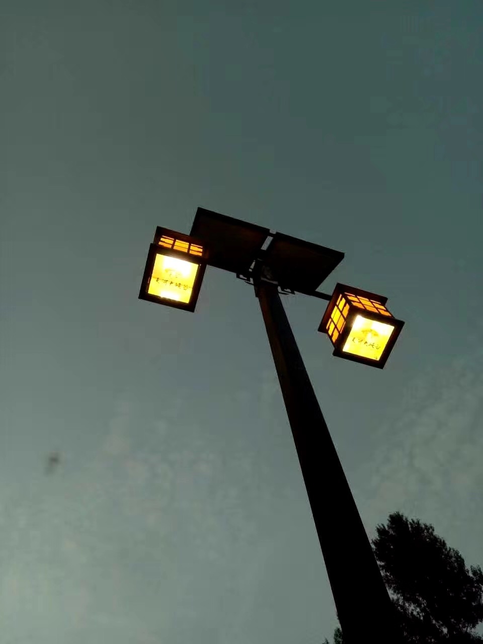 ������ʶ·������